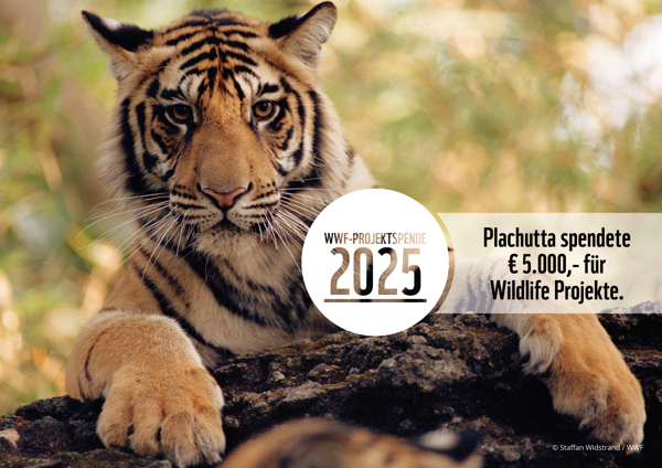 Ein Tiger liegt auf einem Felsen neben einem Schild, auf dem eine Spende von 5.000 € für Wildtierprojekte angekündigt wird.